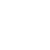 Custom Shopify Solutions